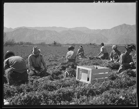 Inequality’s Deadly Toll | Pulitzer Center