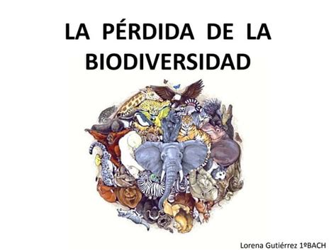 Pérdida De La Biodiversidad Ppt