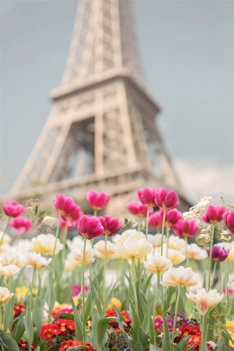 Fotografía De París Tulipanes En La Torre Eiffel París En Etsy España