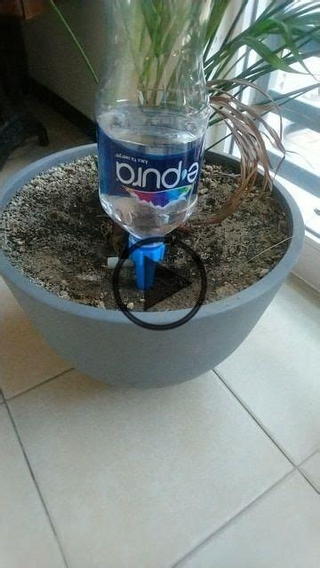 Hi all, many of these watering plants here: DIY Automatic Watering Spikes Device | Diy, Patio plants, Diy plants