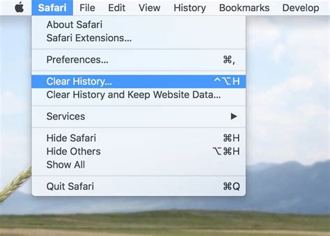 Safari How To Clear Individual Browser History Items The Mac Observer