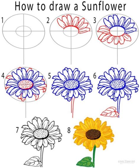How To Draw Exotic Flowers Step By Step Perfect For Sketching Bullet