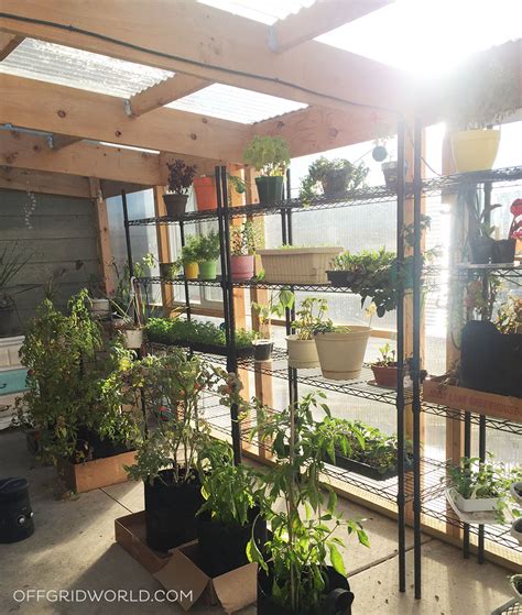 All of these include diagrams, photos, and instructions. A DIY Greenhouse For Growing Food Year Round - Off Grid World