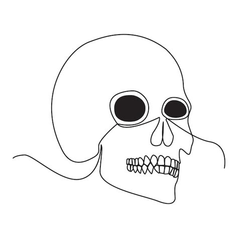 Skull Lines Vectors And Illustrations For Free Download Freepik
