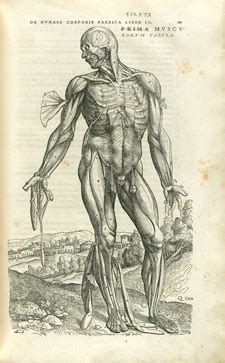 His hunt for … continue reading body maps. Public Health and Social Justice » History of Medicine