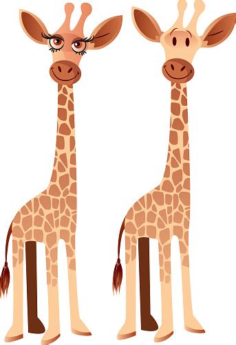 Giraffes Stock Illustration Download Image Now Istock