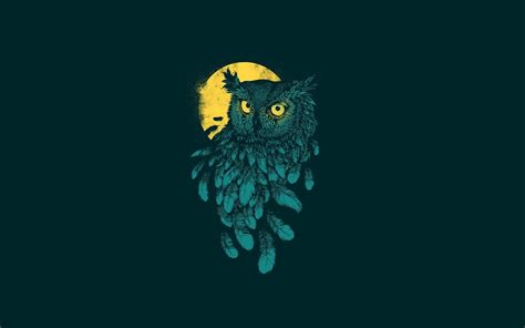 Owl Minimalist Wallpapers Top Free Owl Minimalist Backgrounds