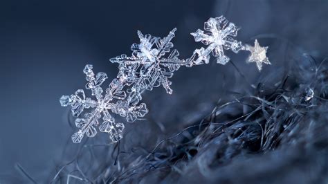 Wallpaper Ice Crystal Snowflakes Winter 2560x1600 Hd Picture Image