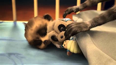 Compare The Meerkat Commercial Baby Oleg 720p Youtube