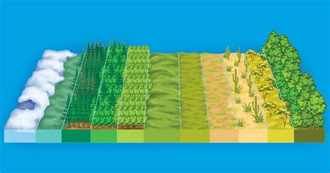 Assinale A Alternativa Que Indica A Melhor Definição De Bioma