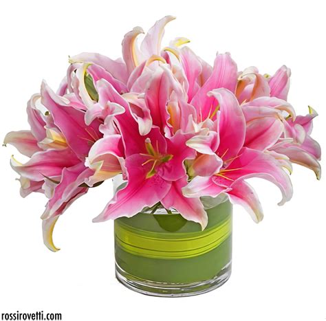 Simply Lily Flower Arrangement 54