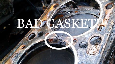 Blown Head Gasket Signs Symptoms And Causes Asc Blog