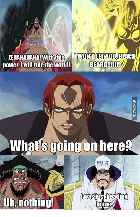 Seems Pretty Accurate Anime And Manga One Piece Funny One Piece