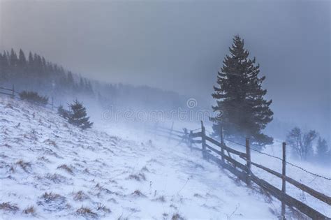 Clearing Snow Storm In The Rocky Mountains Stock Image Image Of Storm