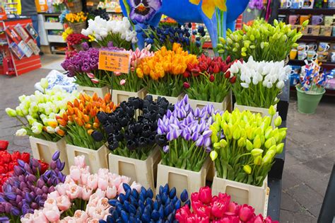 Bloemenmarkt - Visit the World’s Only Floating Flower Market – Go Guides