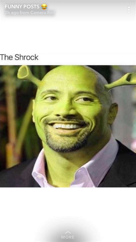 Pin By Vrostthegreat On Shrigga Shrek Memes Celebrity Memes Shrek Funny