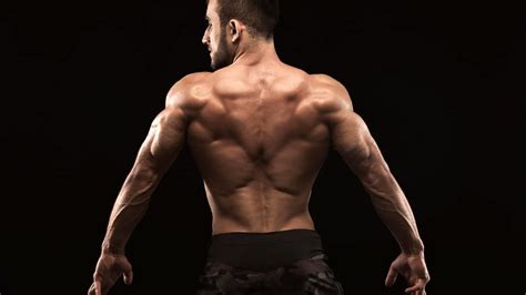 Best Lower Lat Exercises For A Thick Back Fitness Volt