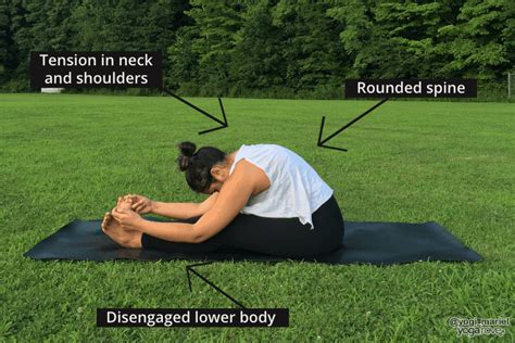 How To Practice Seated Forward Fold Yoga Rove