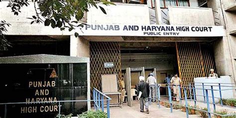 punjab high court convicts 3 punjab officers including two ias officers one ifs on contempt