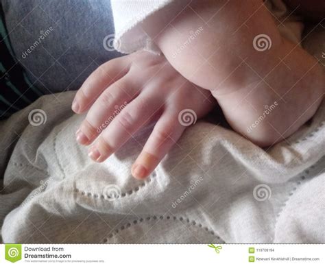 Little Hands Stock Photo Image Of Tiny Hands Little 119709194
