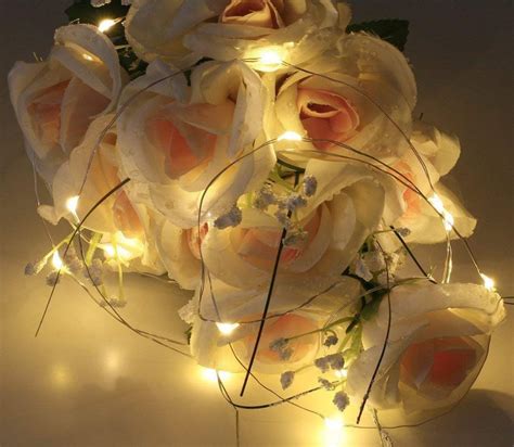 Guide To The Best Battery Powered Fairy String Lights Nerd Techy