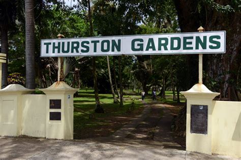 Thurston Gardens Suva Photo Brian Mcmorrow Photos At