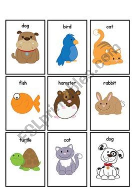Pets Flashcards Esl Worksheet By Mariamusumeci Flashcards
