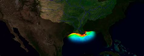 Noaa Partners Predict Average Dead Zone For Gulf Of