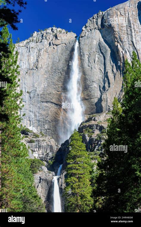 Sunny View Of The Upper And Lower Yosemite Falls Of Yosemite National