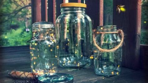 A Homesteader's Guide to Catching Fireflies in Mason Jars