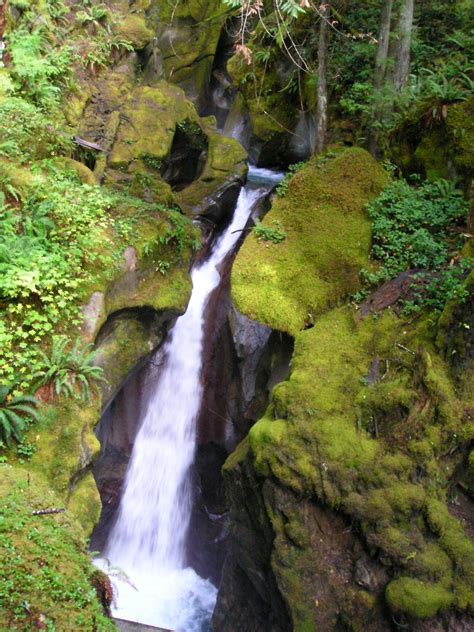 Ladder Creek Falls United States Tourist Information