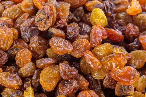 Are Raisins Good For Human Health Are You Interested To Know About The