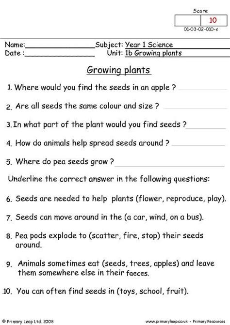 Uk Growing Plants 1 Worksheet Science Worksheets