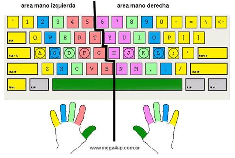 Informatica Posición Correcta De Los Dedos En El Teclado