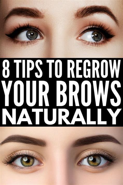 Brow experts recommend leaving your eyebrows alone for at least two months before reshaping whatsoever. How to Grow Eyebrows Fast | 8 natural tips and 20 products ...