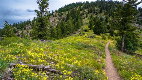 11 Of Boulders Greatest Hiking Trails Best Day Hikes