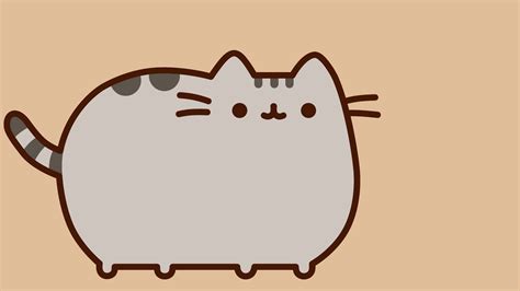 Top 999 Cute Kawaii Cat Wallpaper Full Hd 4k Free To Use