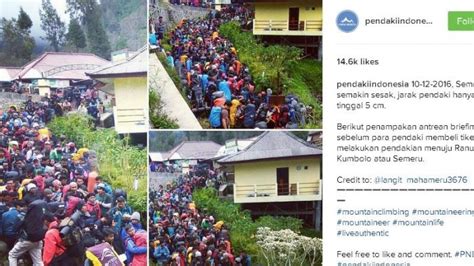 Heboh Di Media Sosial Ramainya Jalur Pendakian Gunung Semeru