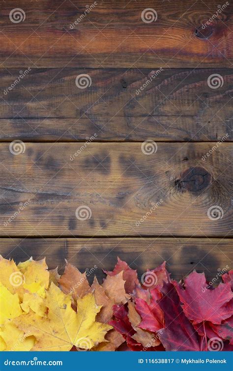 Composition Of Many Yellowing Fallen Autumn Leaves On A Background