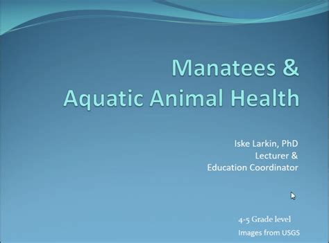 Elementary Online Learning Aquatic Animal Health College Of