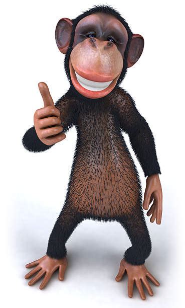 Monkey Thumbs Up Stock Photos Pictures And Royalty Free Images Istock