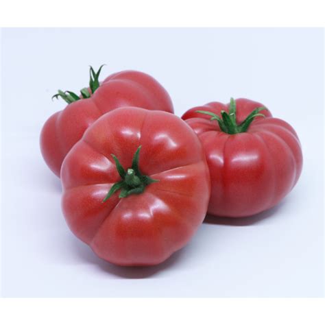 Pomidor Sonarosa F1 - kupisz na agro-nasiona.pl