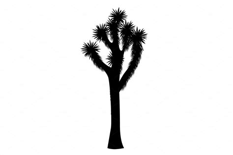 Joshua Tree Vector Isolated On White Background Illustrations