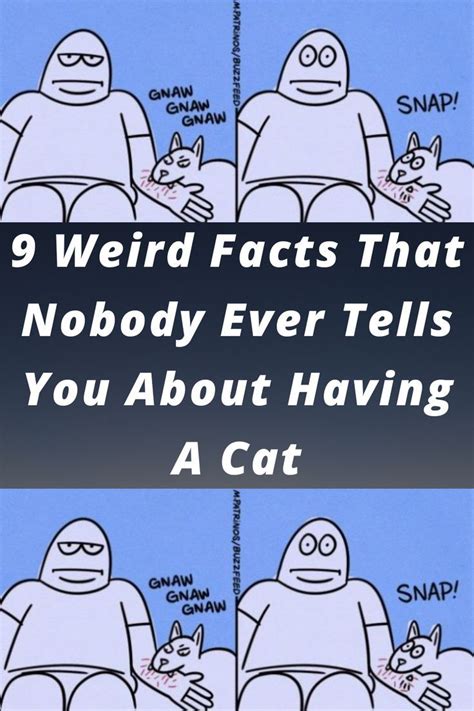 Cat Facts Weird Facts Owning A Cat Do Love Cat Owners Funny Pins