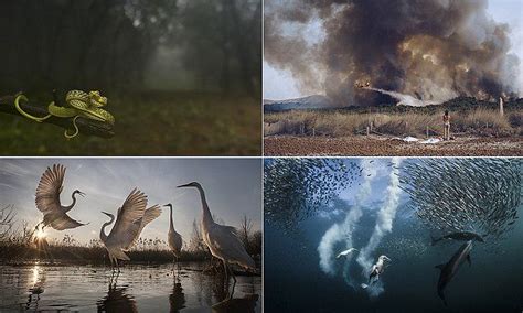 National Geographic Photography Contest Shows Nature At Most Beautiful