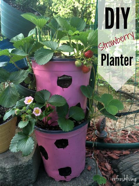 Maximize your harvest of sweet, juicy, homegrown strawberries with this diy planter box. DIY Strawberry Planter from Recycled Materials | Pinterest ...