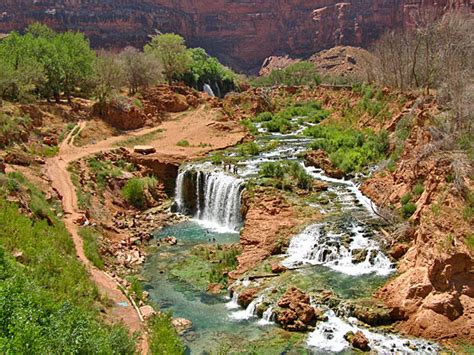 How to breeze through the court challenges of the first cases of phoenix wright's career. Photos from my trip to Havasu Falls (Tyger Gilbert ...