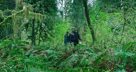 'leave no trace' on prime video: Leave No Trace (2018) Download YIFY Movie Torrent - YTS