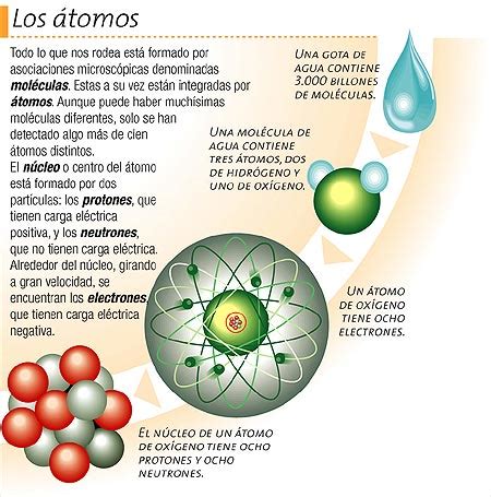 Los Atomo El Tomo Y Sus Funciones