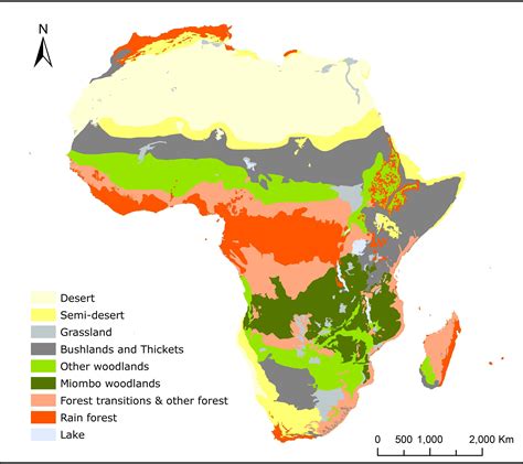 African Savanna Grassland Map Pets Lovers